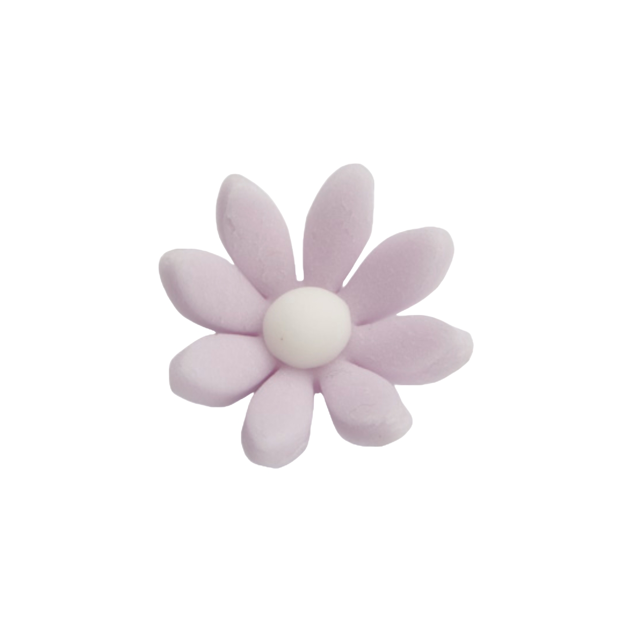 Zuckerblume  – Daisy – flieder (100 Stück) – Shantys