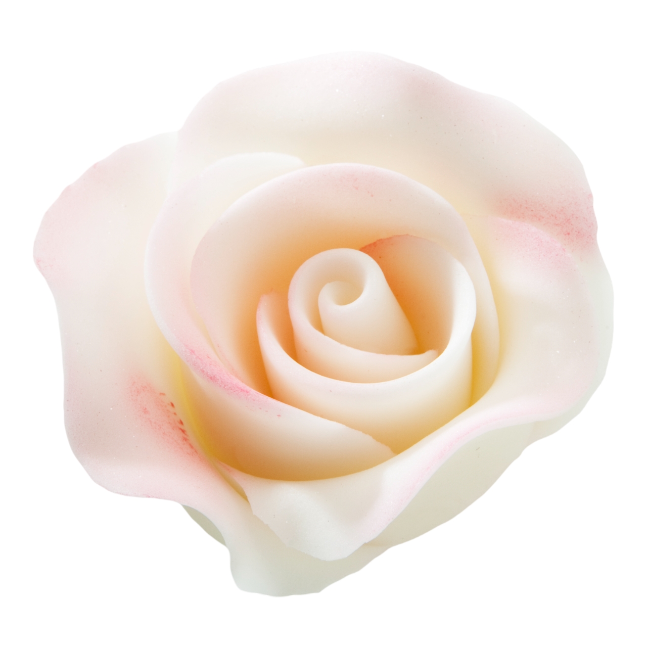 Zuckerblume - Rose klein - weiß/rosa (16 Stück) - Shantys