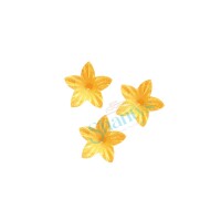 400St | Perlglanz & Gold | 2cm | Lilie | Blume | Waferdeko | Oblaten | Esspapier