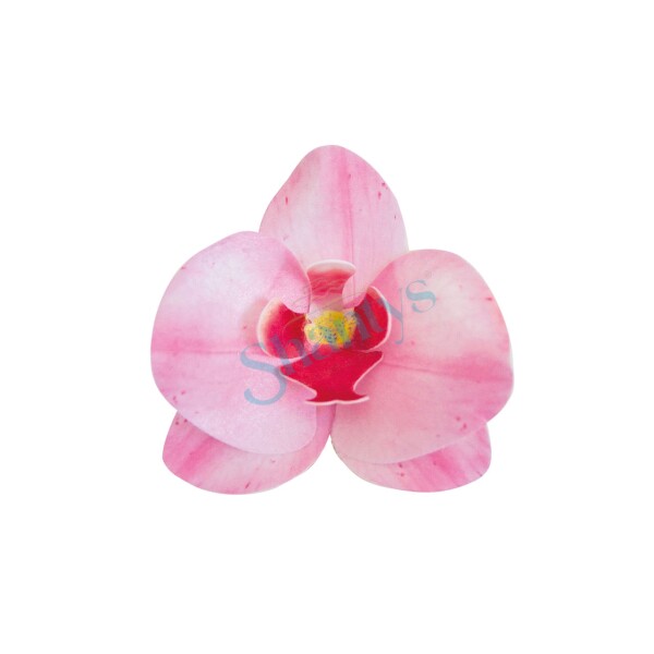 10St | Rosa | 8,5x7,5cm | Orchidee |Waferdeko | Oblaten | Blume | Esspapier