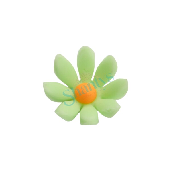 100St | Weiss | Daisy | Zuckerblume