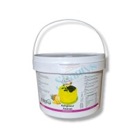 7kg | Ananas | Kaltglasur | fruchtiger Überzug |