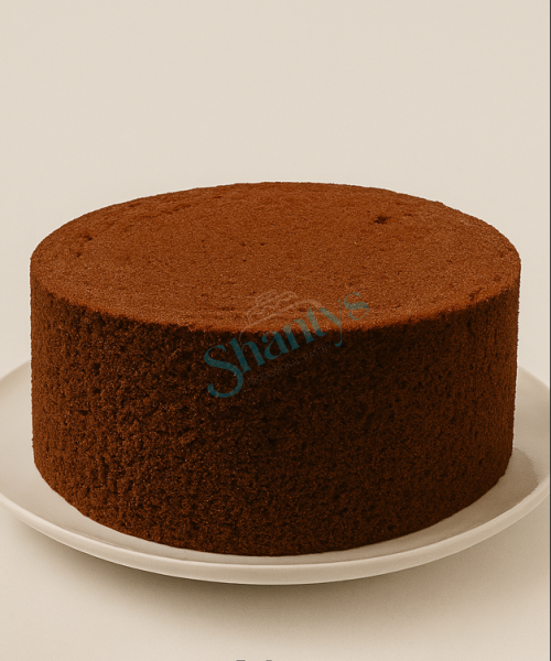 25kg | Schoko | Biskuit Instant Mix | Zeelandia | Backmichung