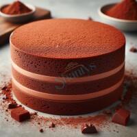 25kg | Schoko | Biskuit Instant Mix | Zeelandia | Backmichung