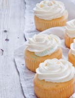 2,5kg | Pulver | Creme Santi Mix | Sahne ersatz | Spezial...